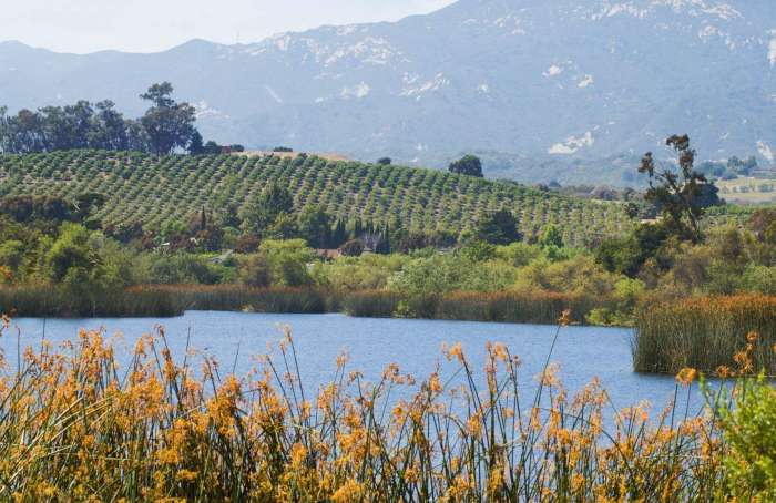 Learn more about Goleta