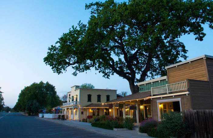 Learn more about Los Olivos