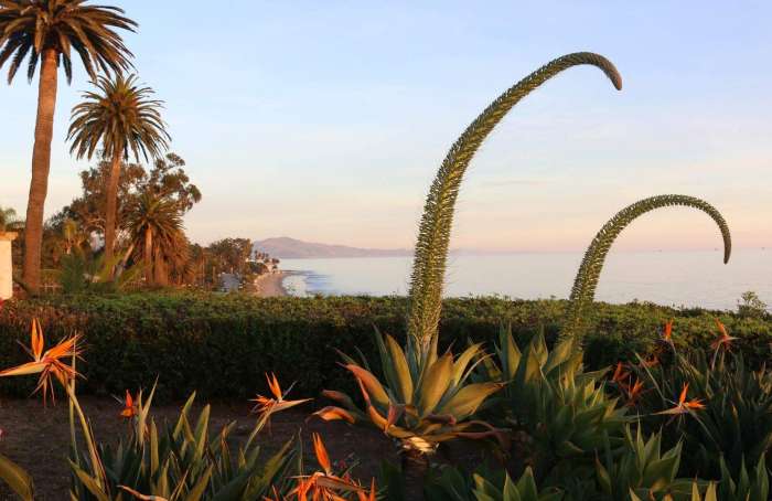 Learn more about Montecito