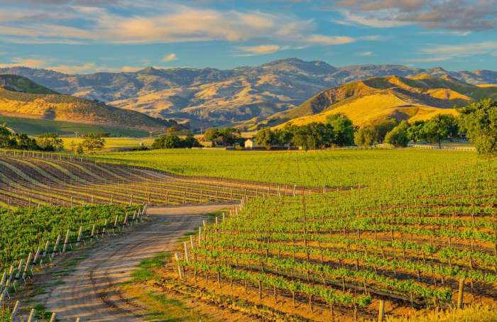 Learn more about Santa Ynez